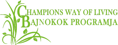 Bajnok Életmód program: 